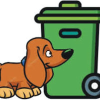 Placení poplatků za rok 2026