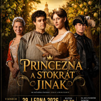 Letní kino - Princezna stokrát jinak