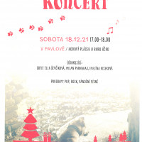 KONCERT  PRO NEMOC ZRUŠEN !!!!!  Adventní koncert pro psí útulek v Bulharech